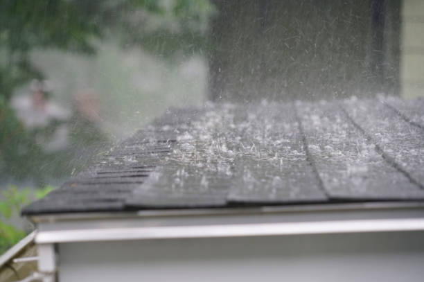 Best Skylight Installation and Repair  in Butner, NC